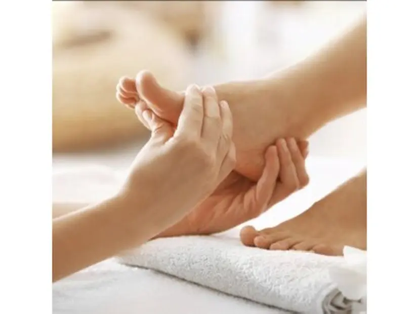 吉田 果耶の掲載