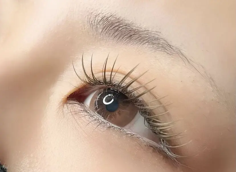 Lily(リリー) 下坂の掲載