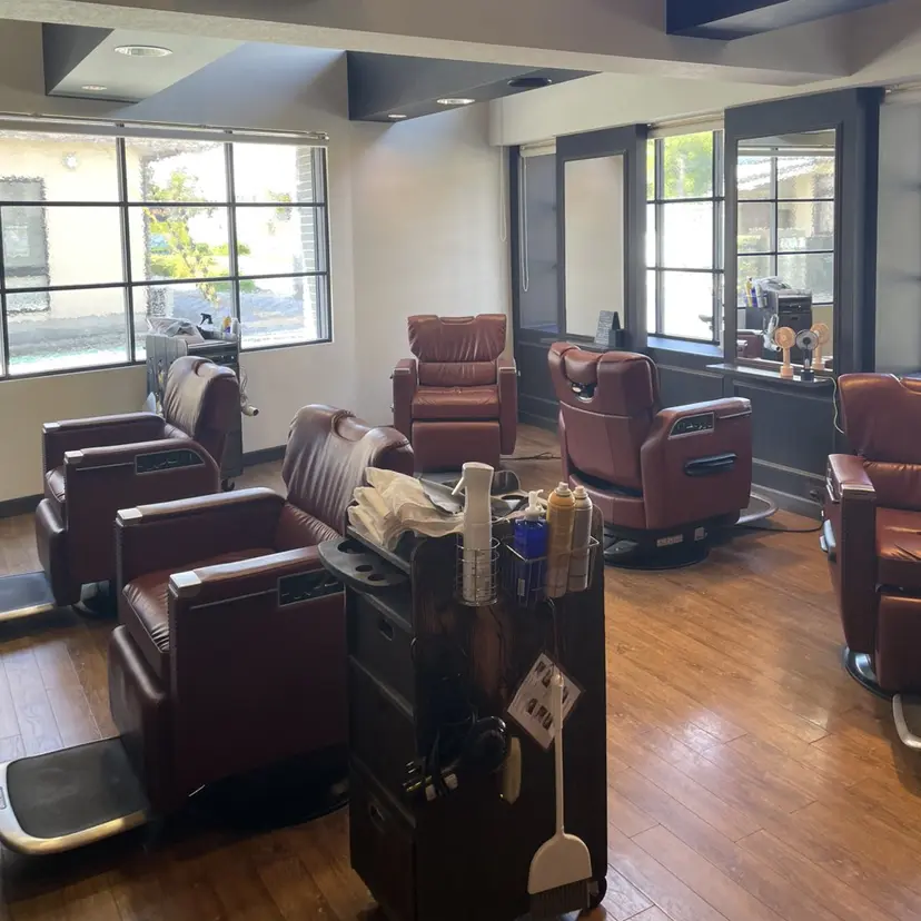 金田 小梅の掲載