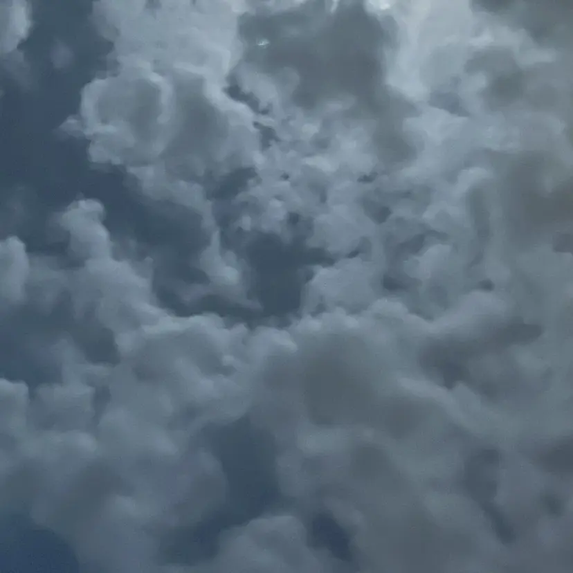 ベージュ/ダブルカラ ー/新潟駅/青柳萌果の掲載