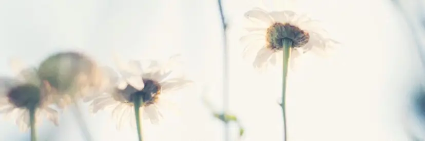 岩尾 志保の掲載