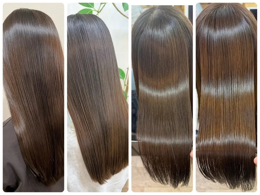 髪質改善 菊池紳吾の掲載