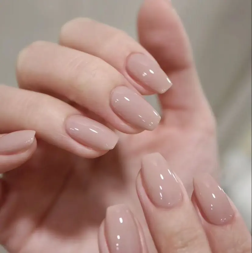 Prajapati Renuの掲載