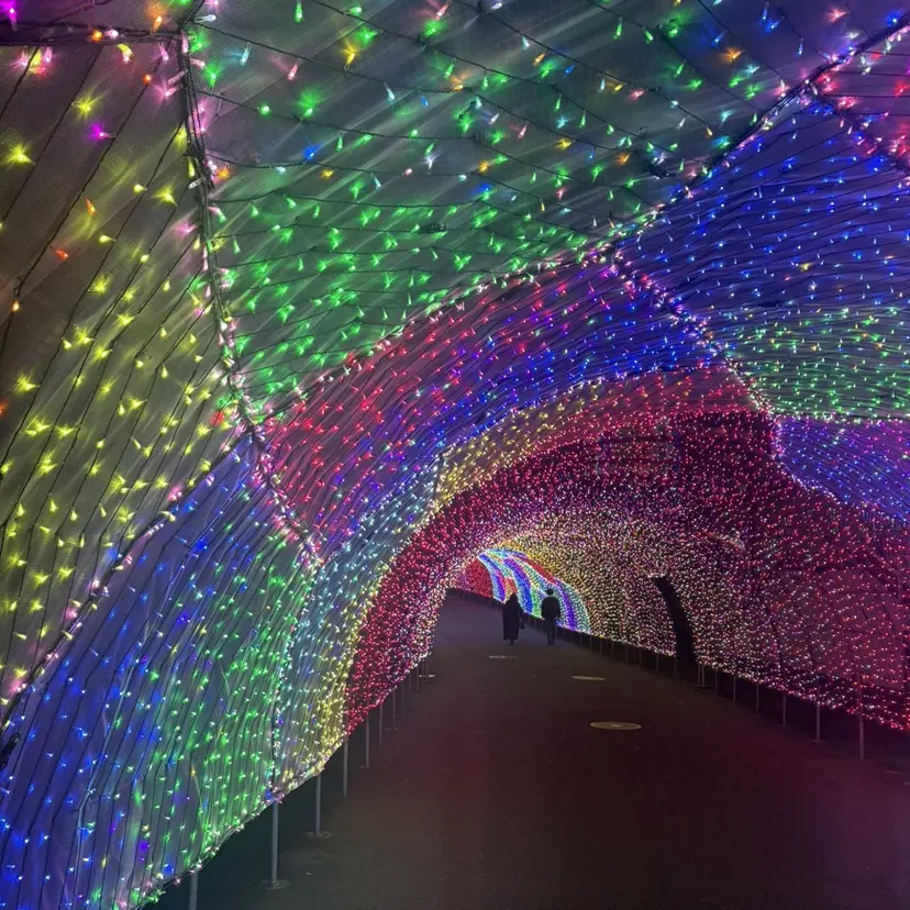 寺門 麻衣の掲載