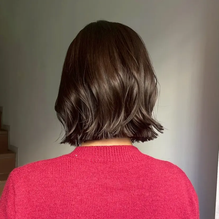 つやつやブラウンカラ ーあすかの掲載