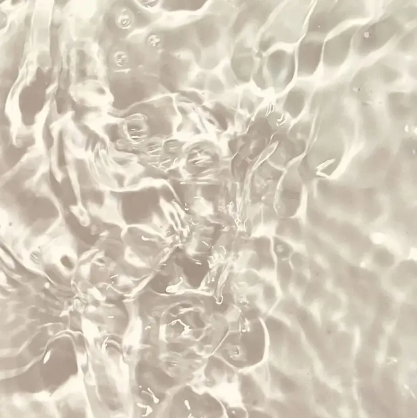 Gypso 柏の葉 1の掲載