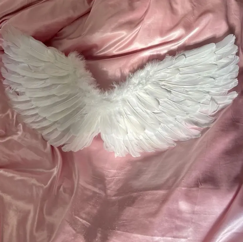 Bianca 宮内の掲載