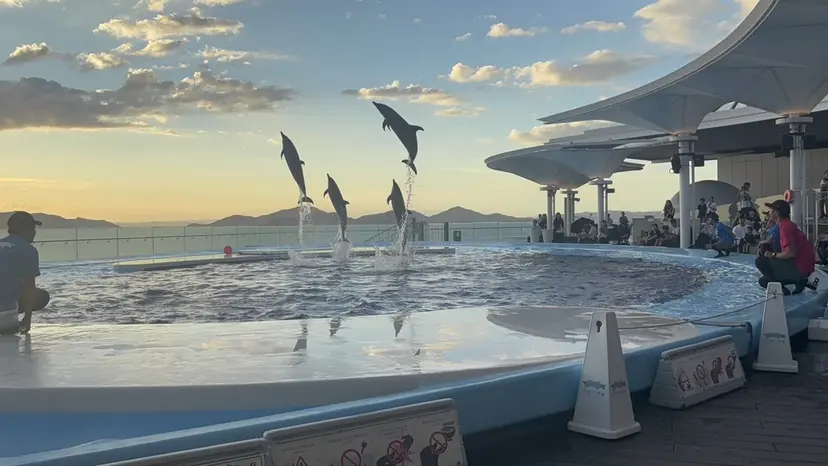 佐々木 優衣の掲載