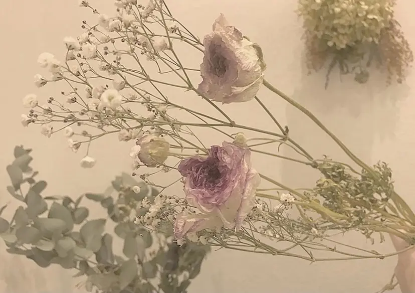 mahalo & festaの掲載