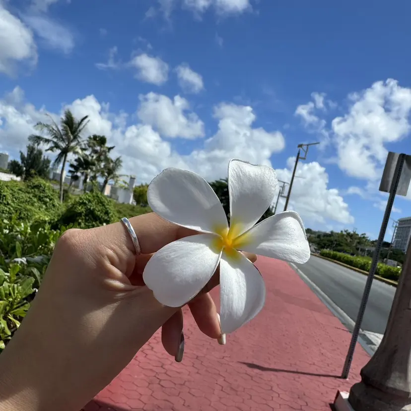 Saki 🍊 荻窪｜nailの掲載