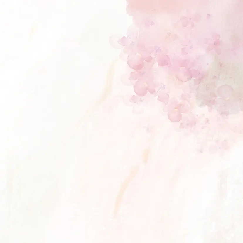 macherie マシェリの掲載