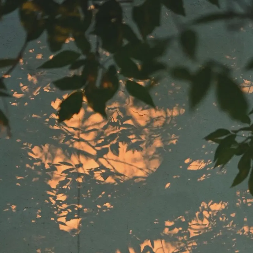 温活サロン HORUSの掲載