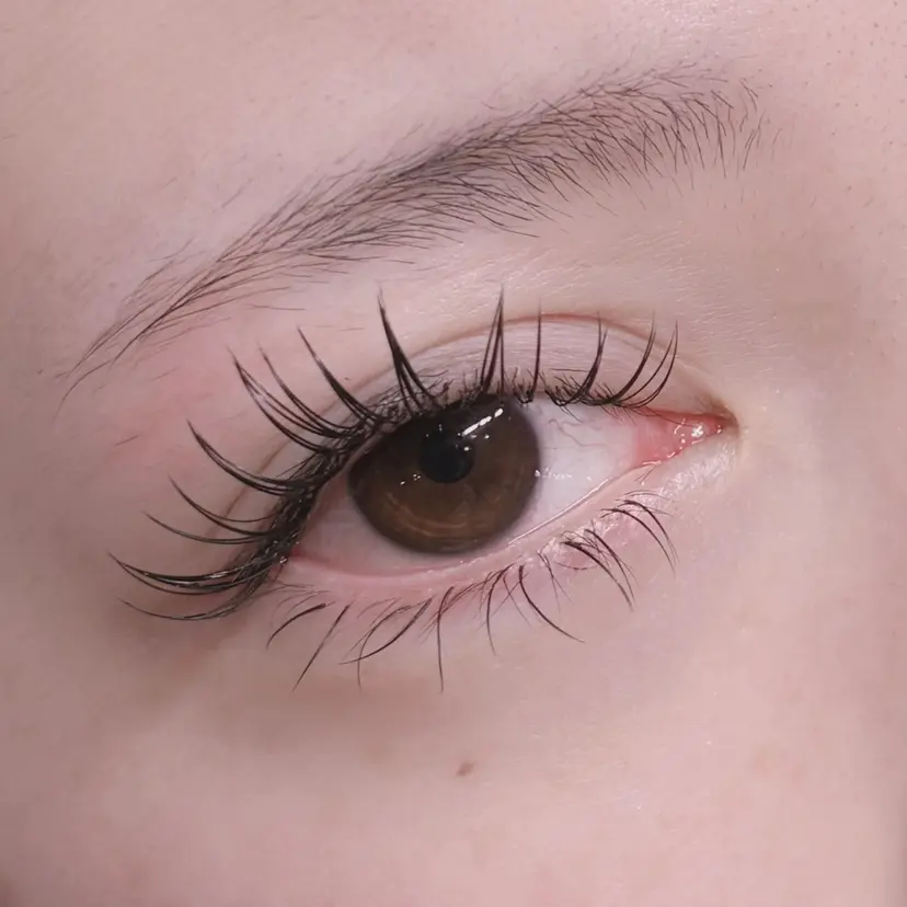 monart kurehaの掲載