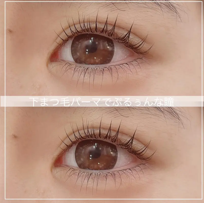 Mignon + Natsukiの掲載