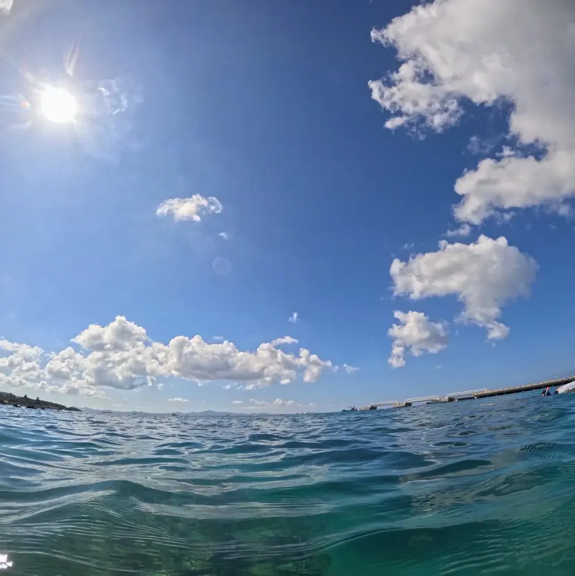 ナガシマ コウセイの掲載