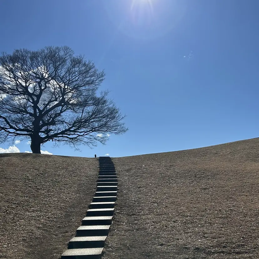 KOTONE /メンズカットの掲載