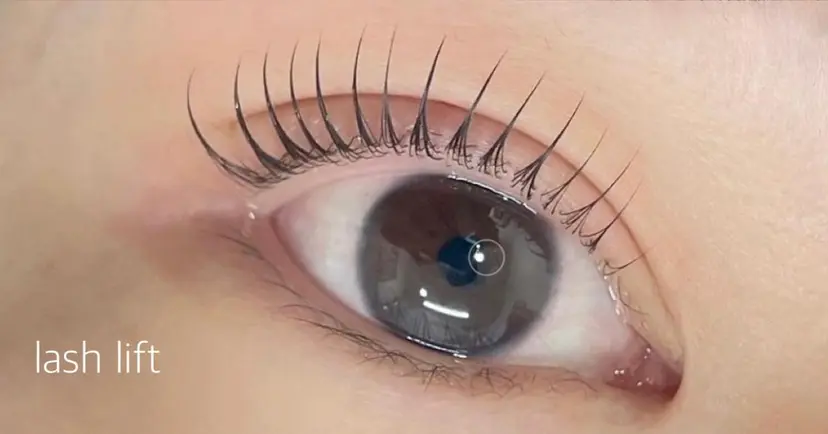 ショーンアーチャリー ☆こもりの掲載