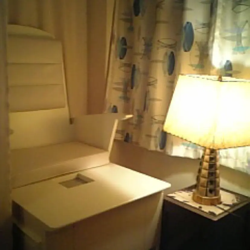 佐野 久美子の掲載