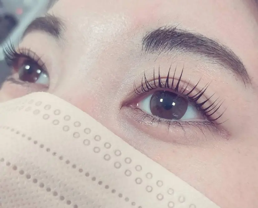 violus 天六の掲載