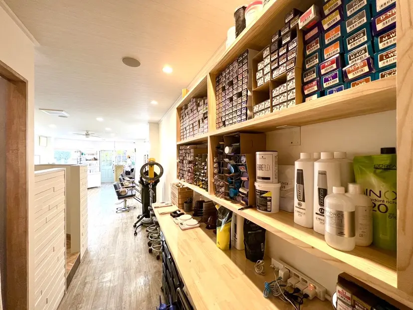 浅原 恵樹の掲載