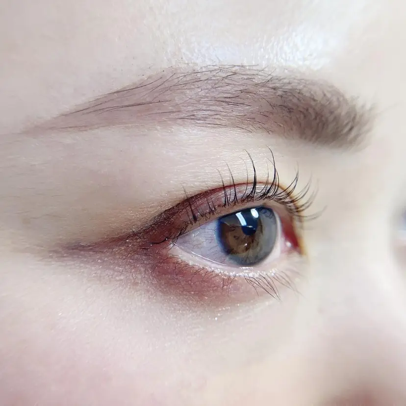 Lino HONAMIの掲載