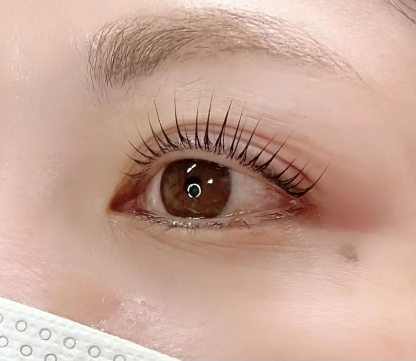 Madonna Lilyの掲載