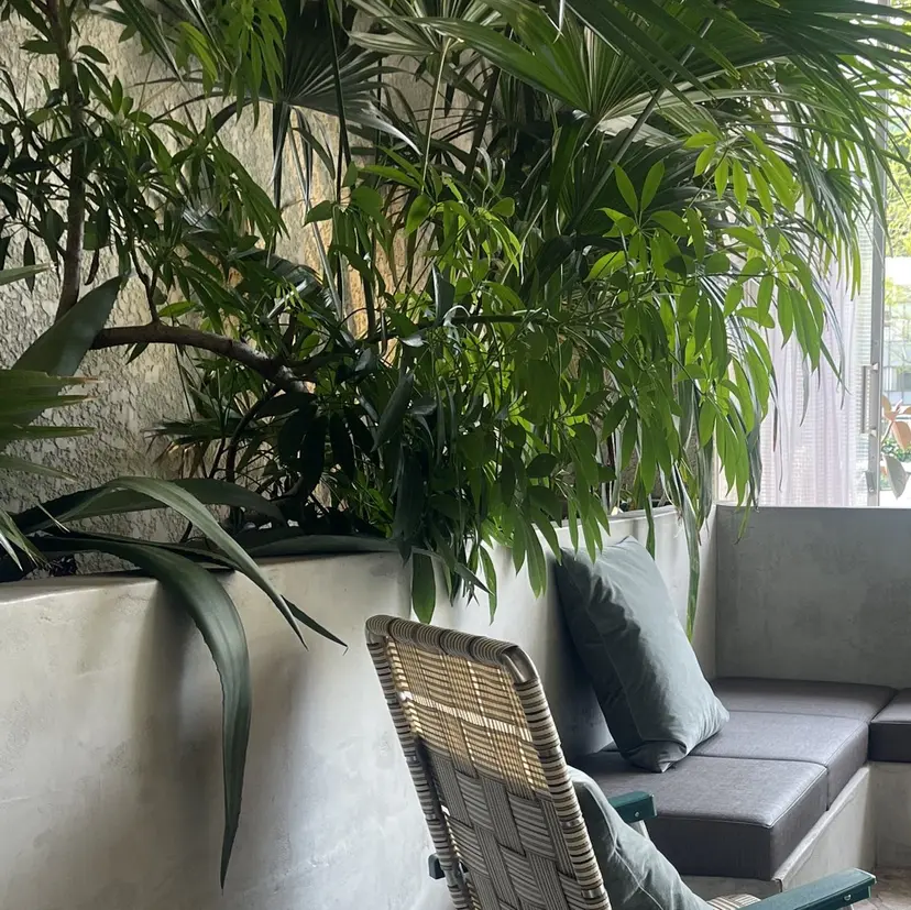 ヘアーニュース 🌿NAMII🌿の掲載