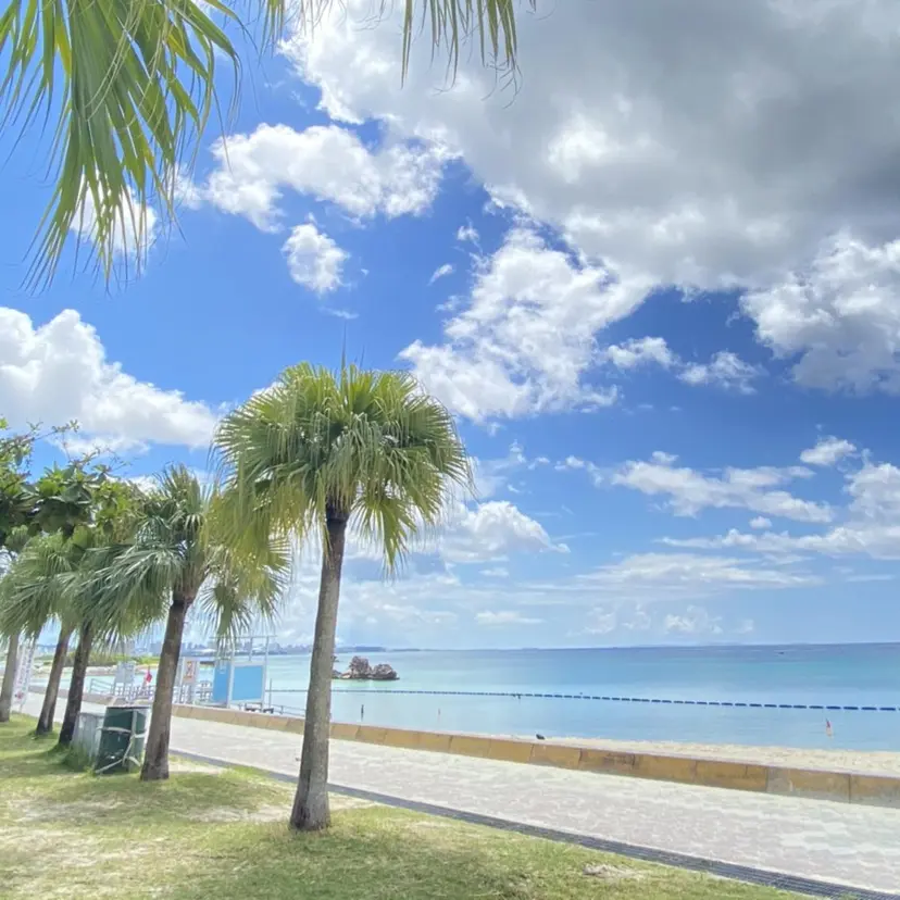 L. 🌺MIYAKO🌺の掲載