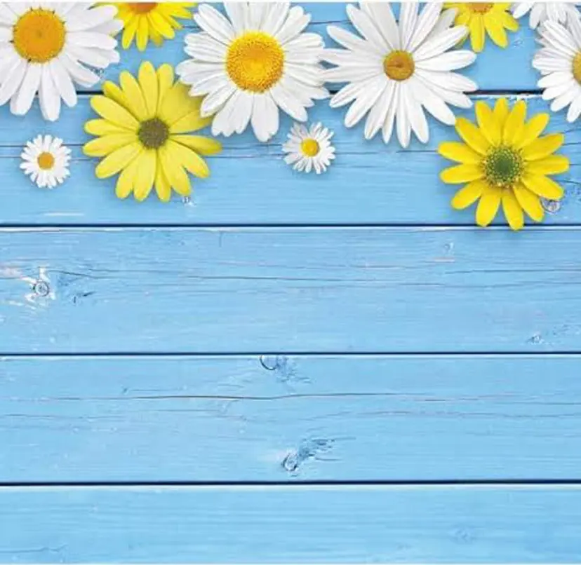 EARTH/A 山根　彩夏の掲載