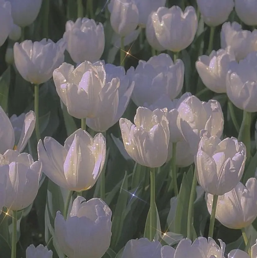 🌈半谷 千尋⛅️✨の掲載