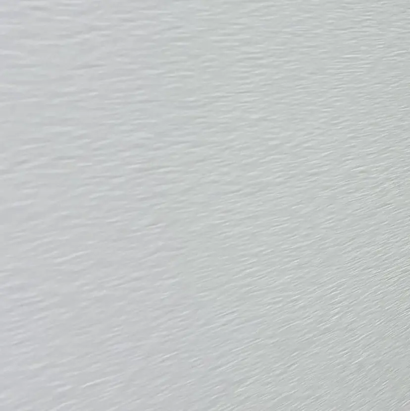 ⠀ さおりの掲載