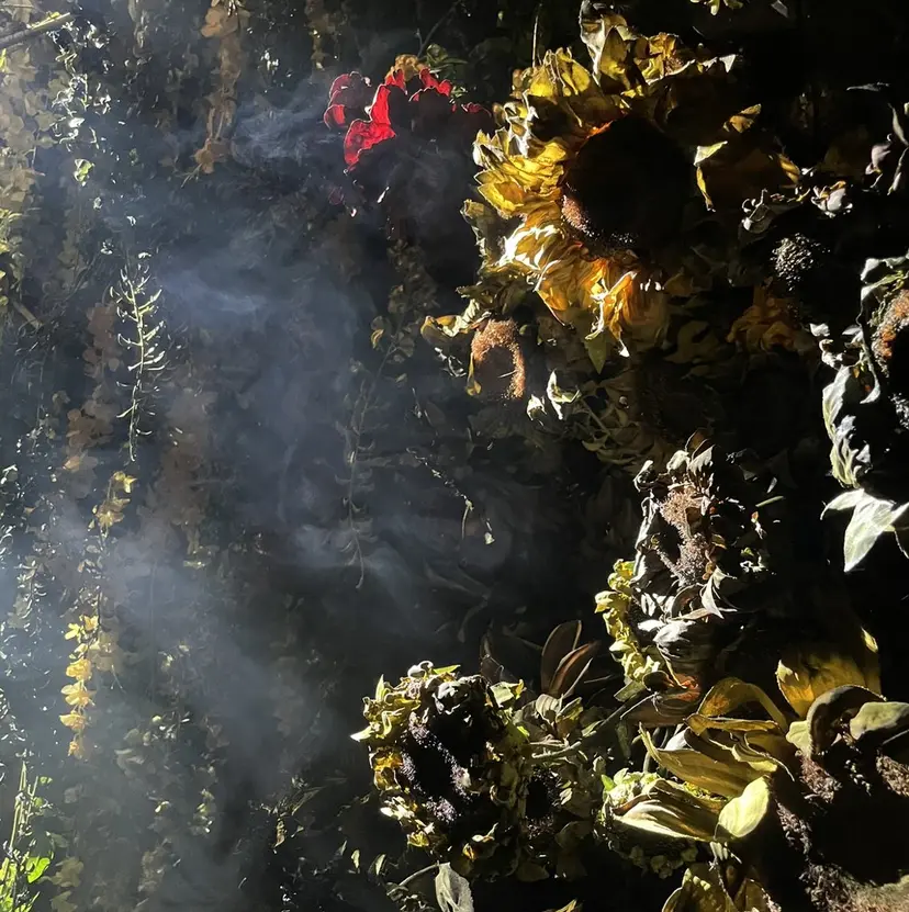 きよひら あおい🛜の掲載