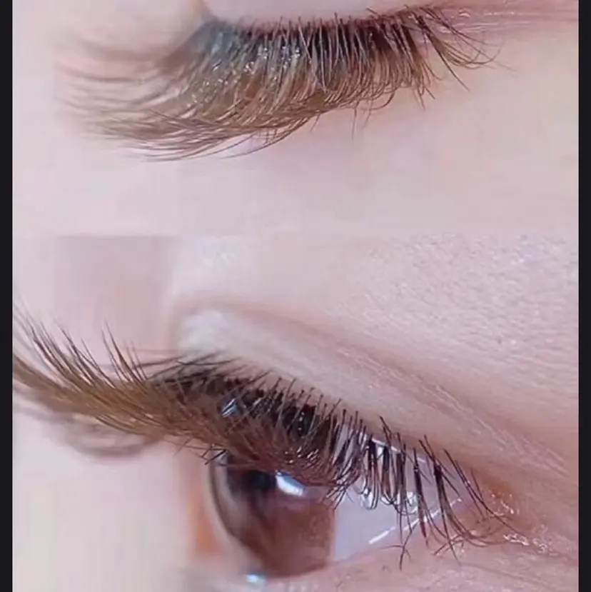 💫U・mi Daisyの掲載