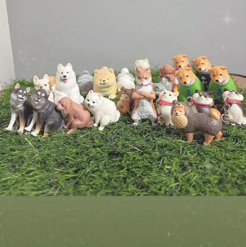 MAXKELLY Asahiの掲載