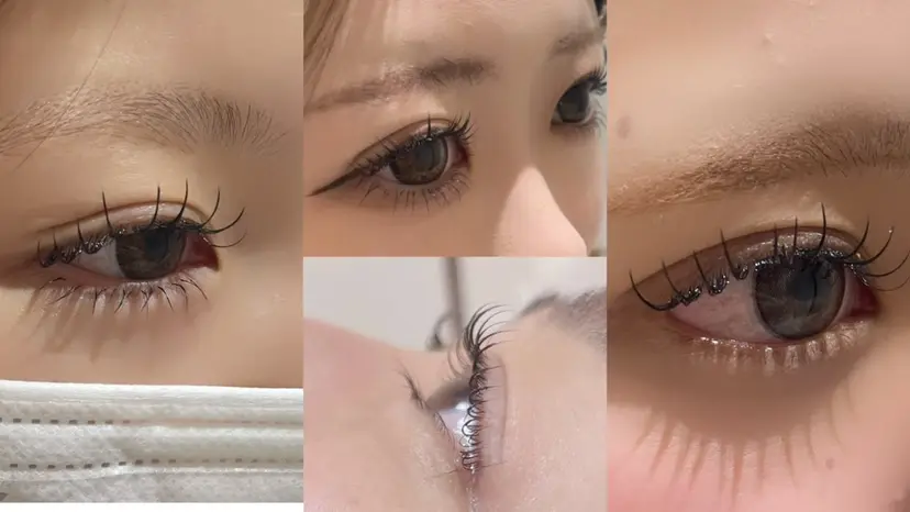 🦋ステラマリス ウエダ💜🦋の掲載