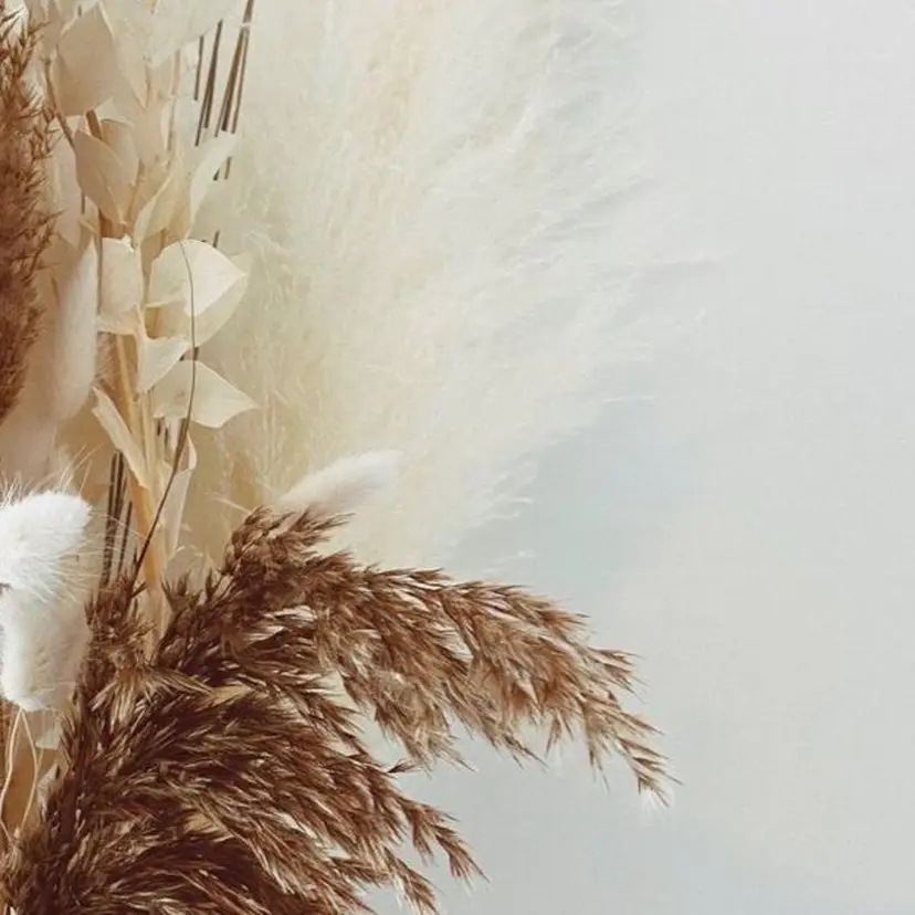 Liberty.f ⌇ mikuの掲載