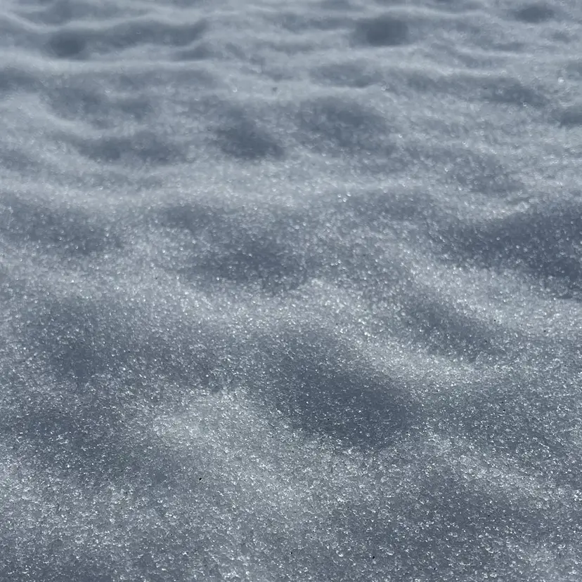 grey ひなたの掲載