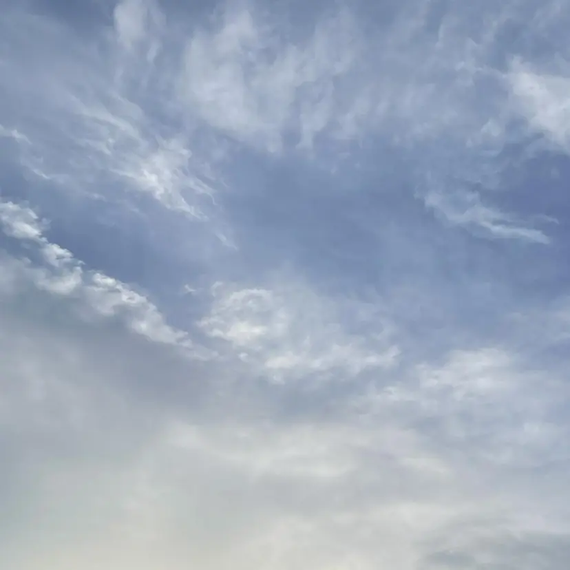 🦩 Rui 🦩の掲載