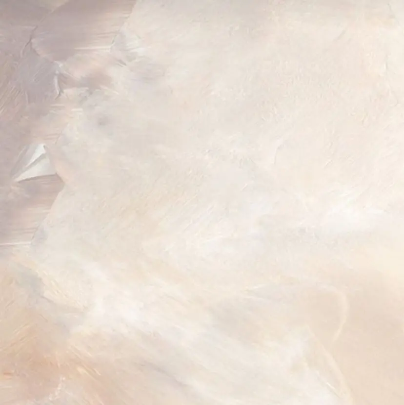 マブチ キサラの掲載