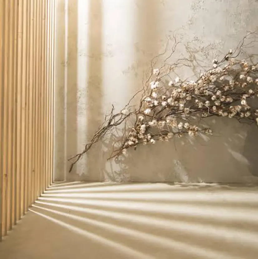 まつ毛と眉毛♥ ゆうか✨の掲載