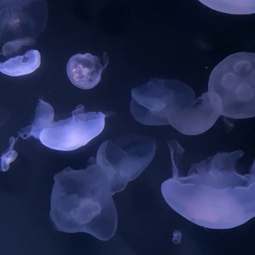 暖色/透明感/うる艶 HIMEKAの掲載