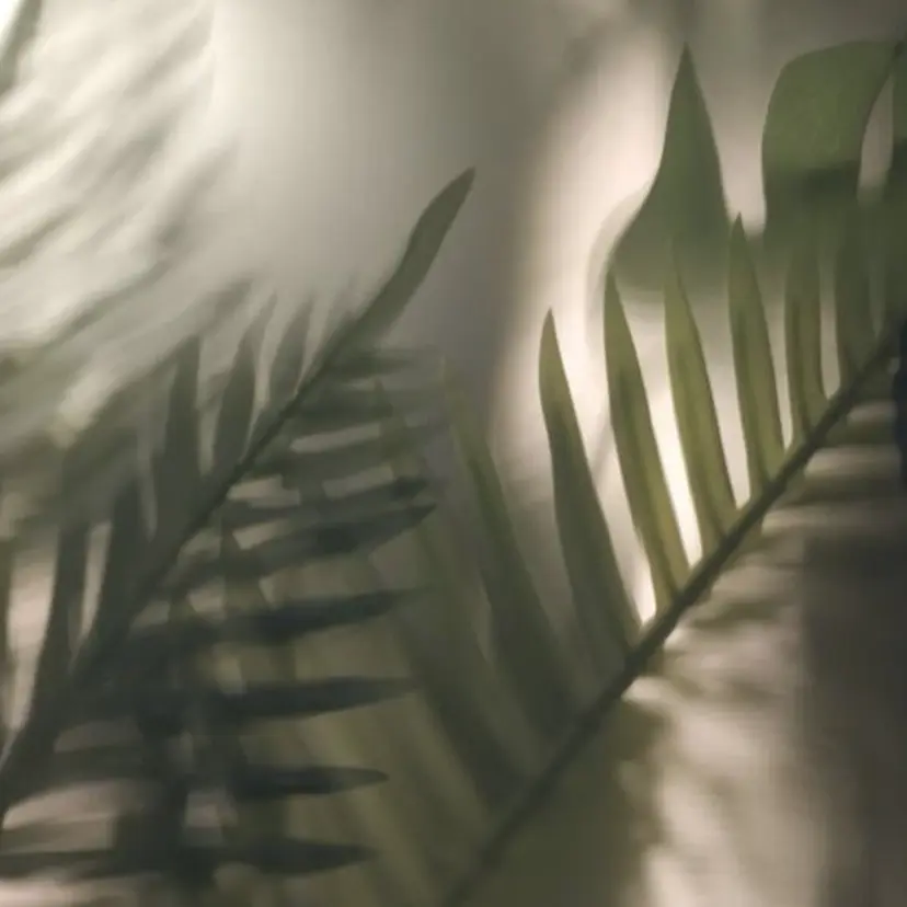 森田 美帆の掲載