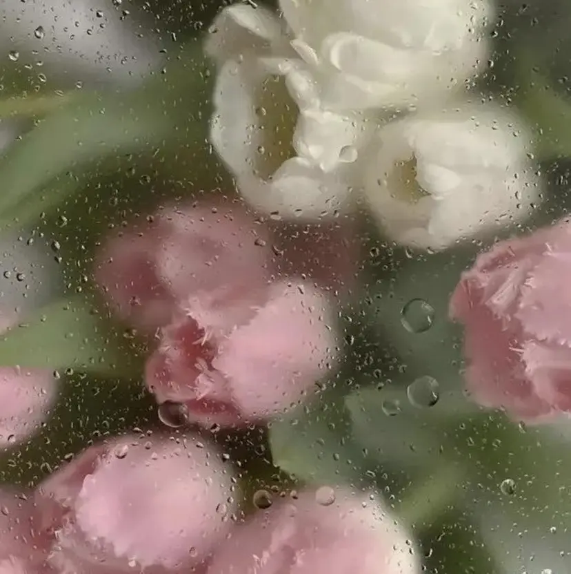 waka🤎 レイヤー／ボブの掲載