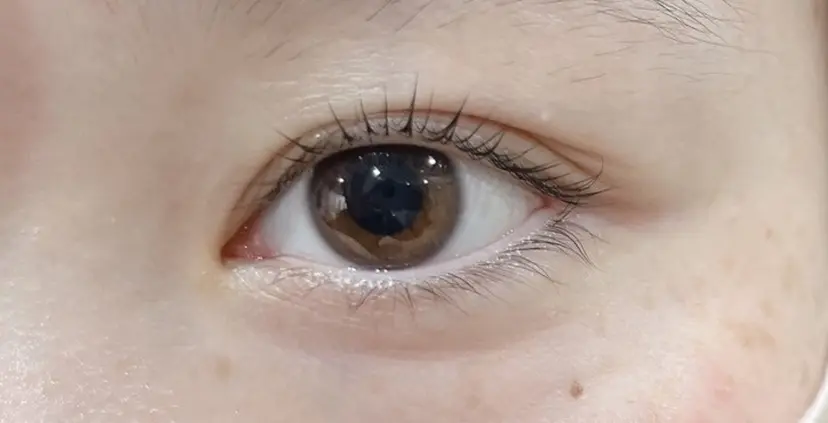 佐藤 ひなこの掲載