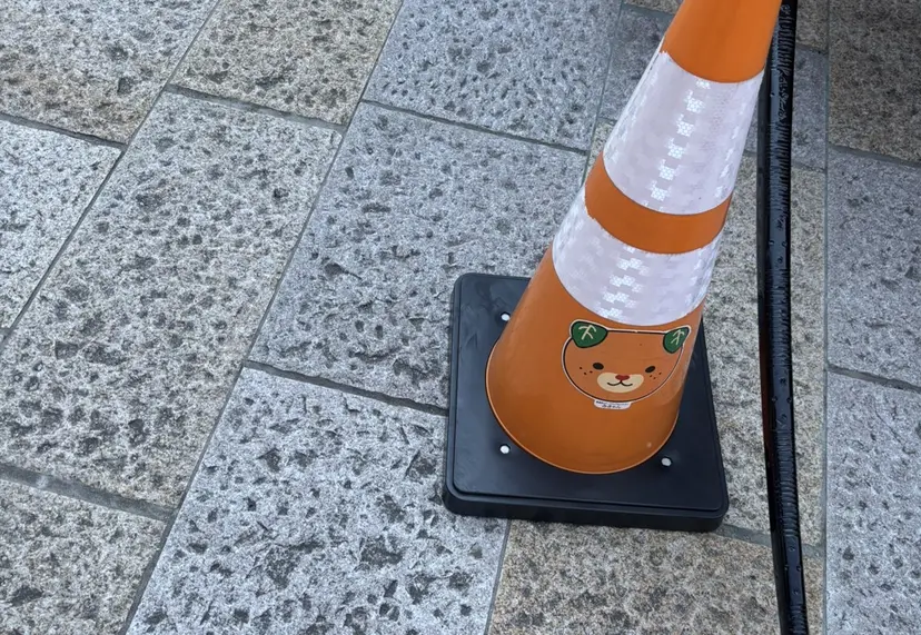 志岐 彩香の掲載