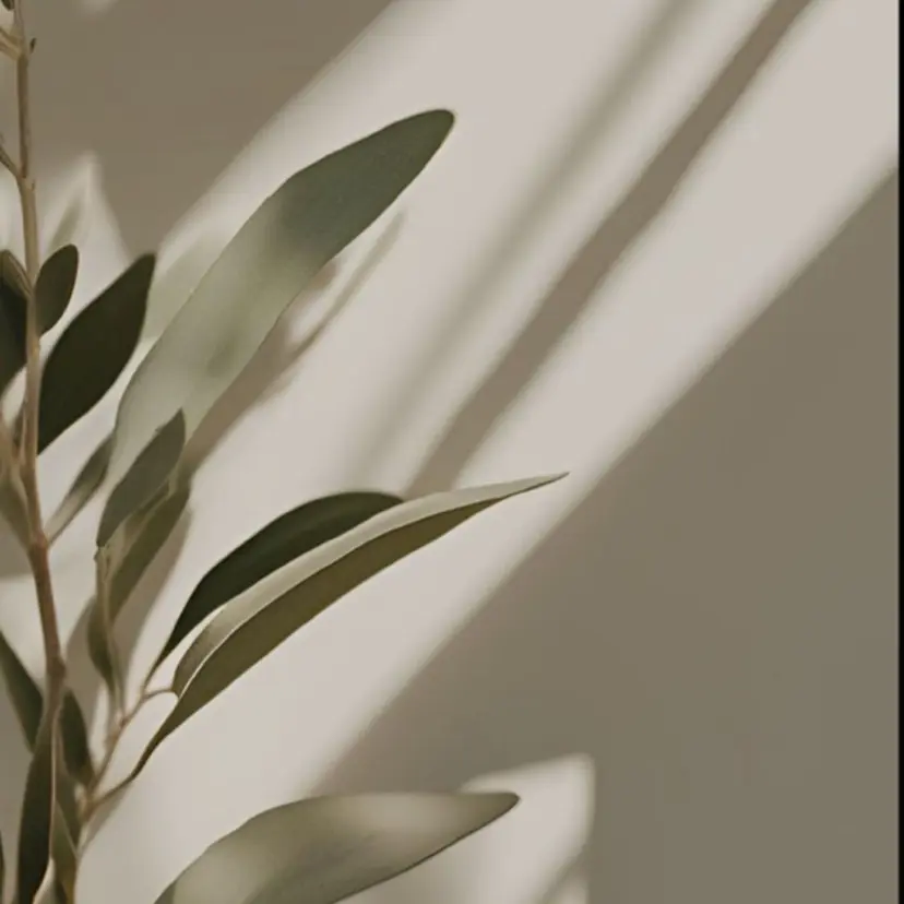 nakajima misaeの掲載