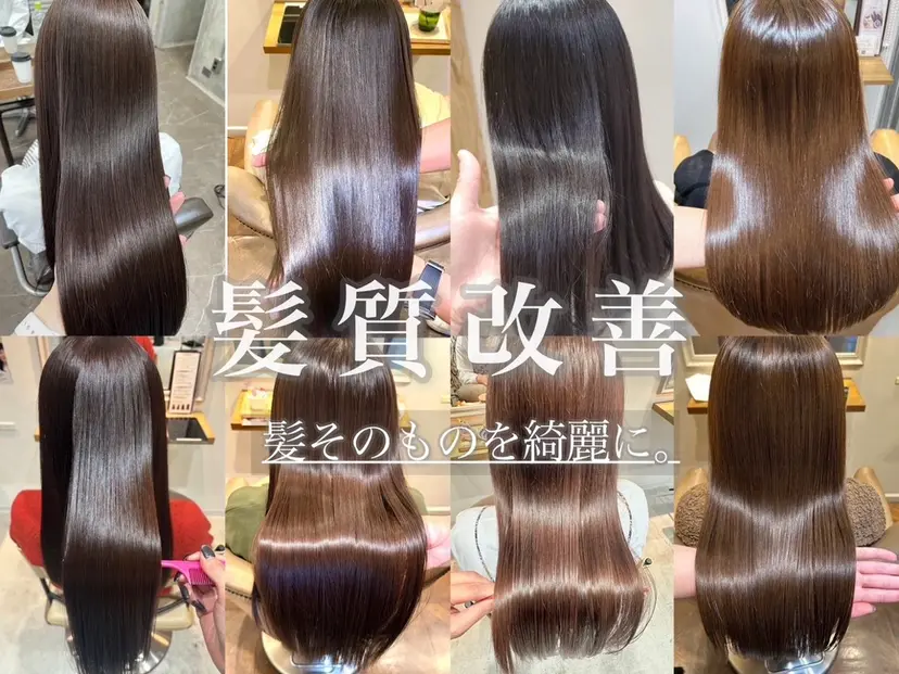 伊藤 利澄の掲載