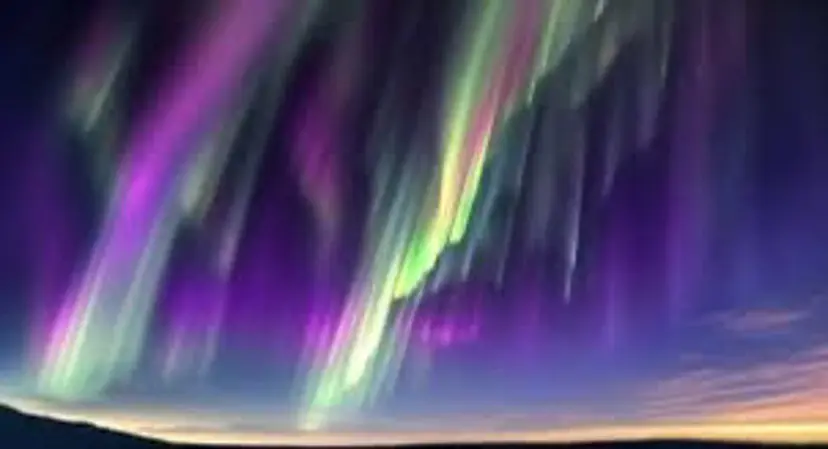 daiki 原宿の掲載