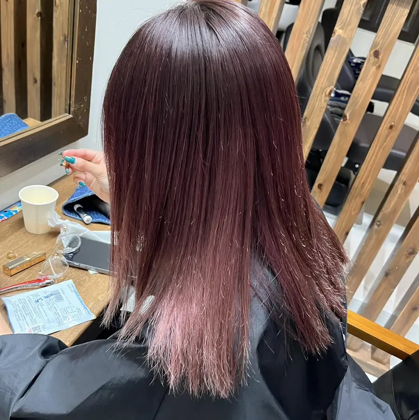 ミサ ミサの掲載