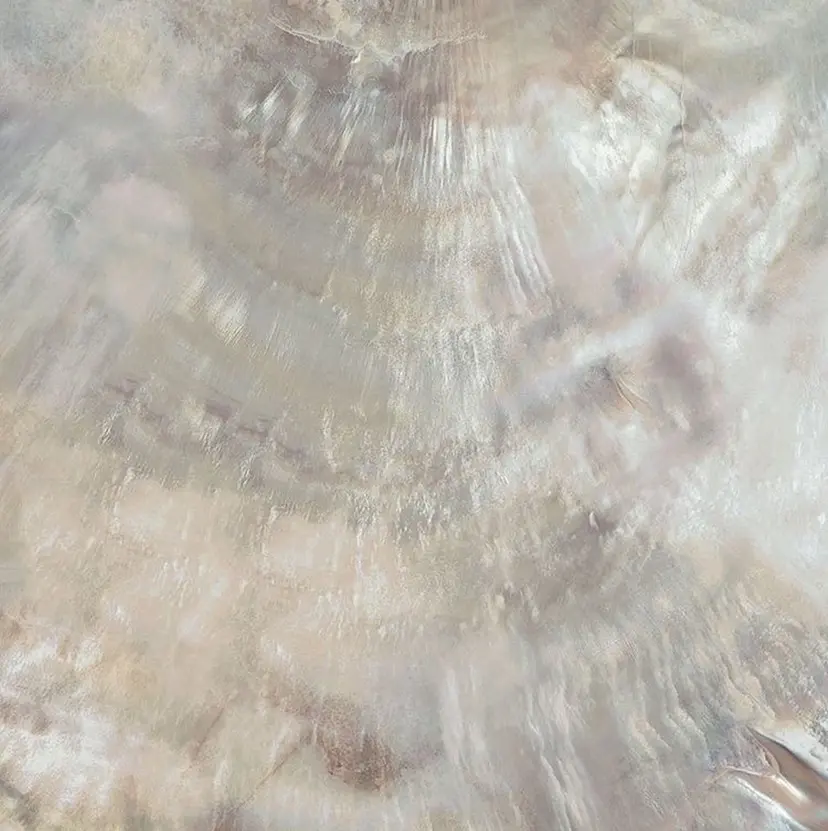 fein.aoi🎀 🤍の掲載